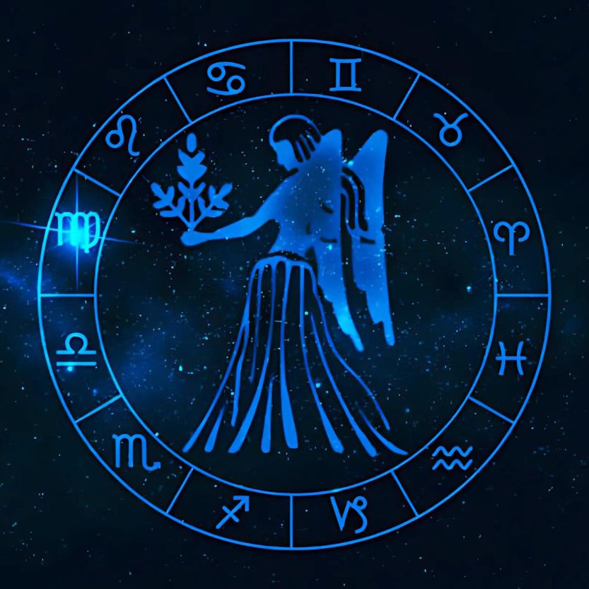 Virgo (August 23 - September 22): The Analytical Partner