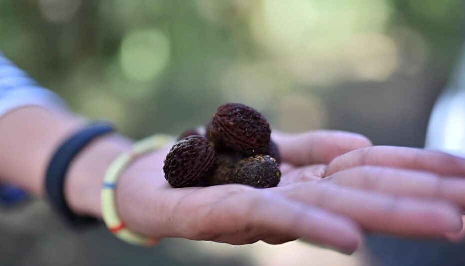 रुद्राक्ष पहनते समय किन बातों का रखें ध्यान