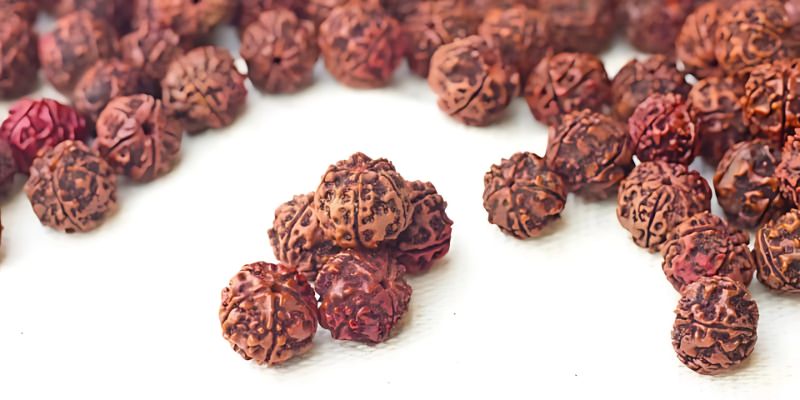 Rudraksha Beads