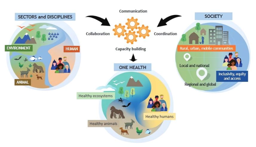 Health and Environment Are Interconnected