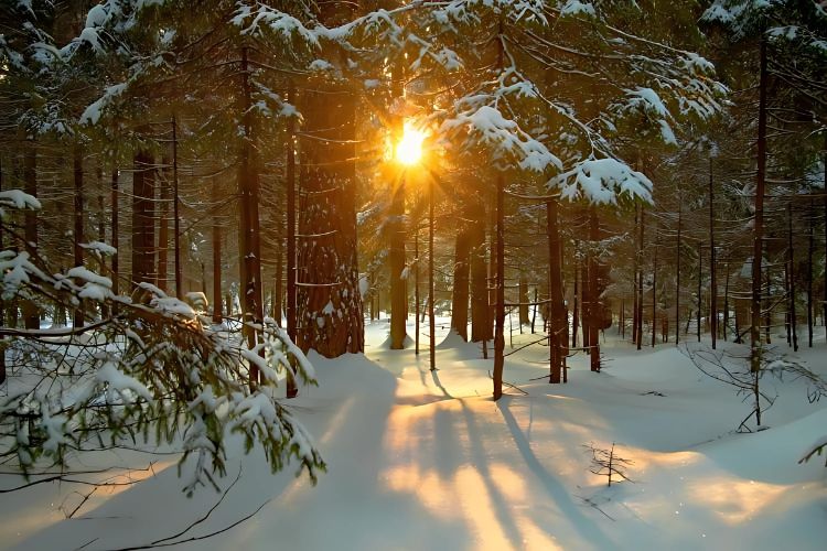 The Winter Solstice and Its Astrological Significance