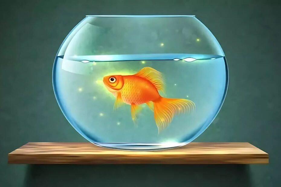 Goldfish in Vastu