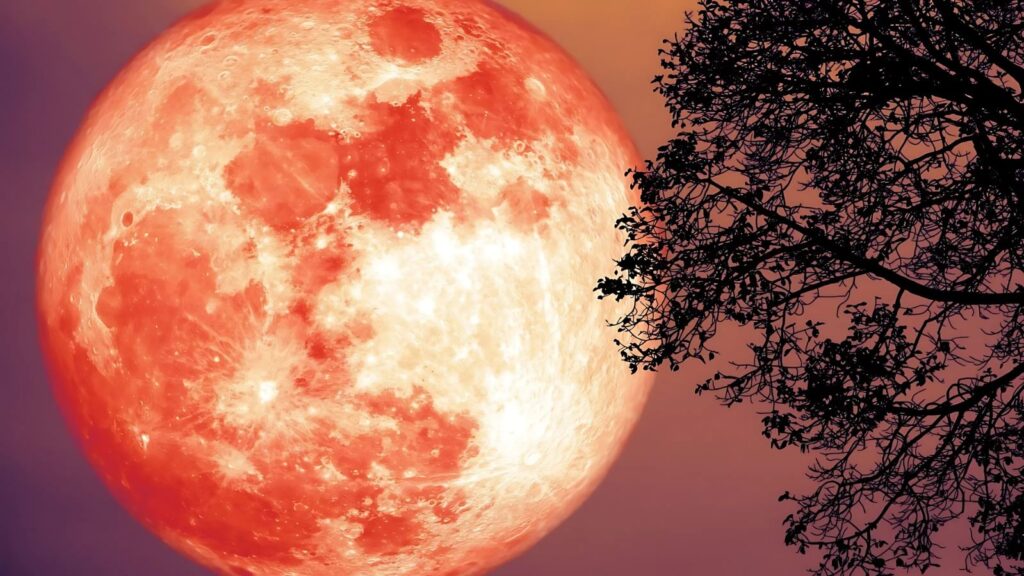 Expanding Your Horizons Through the Full Moon in Sagittarius